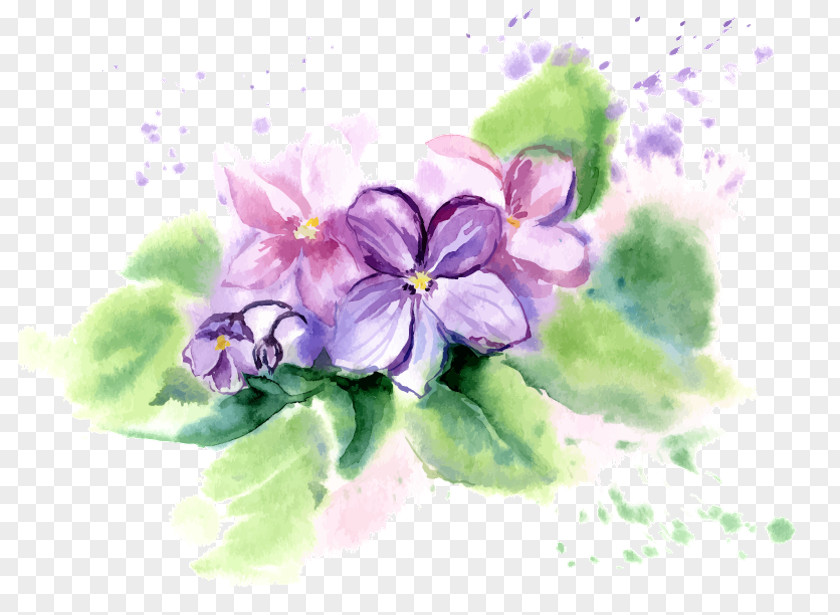 Violet African Violets Flower Watercolor Painting PNG