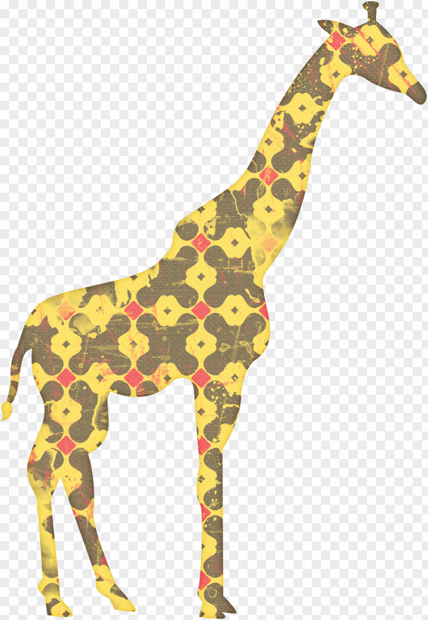 Animal Giraffe Northern Download PNG