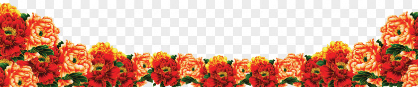 Chrysanthemum Plant Computer File PNG