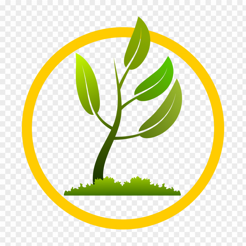 Growing Up Healthily Plant Tree Pruning Clip Art PNG