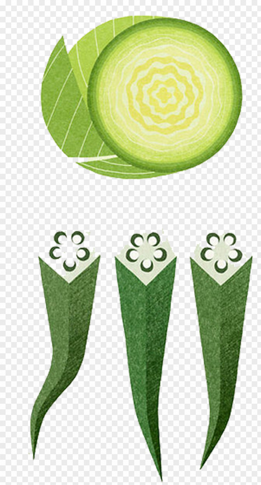 Hand-painted Cabbage Okra Vegetable Painting Illustration PNG
