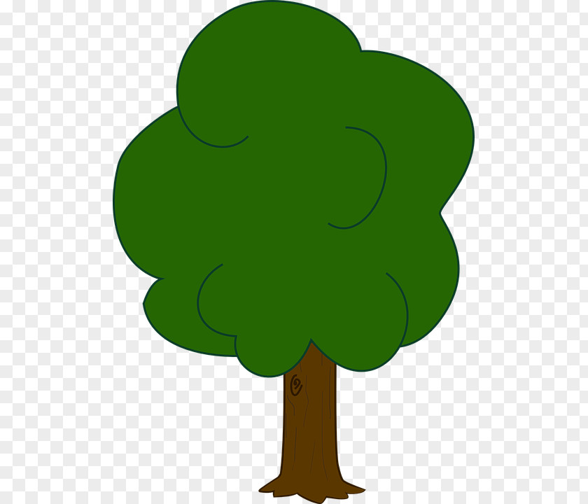 Tree Draw Trees Oak Drawing Clip Art PNG