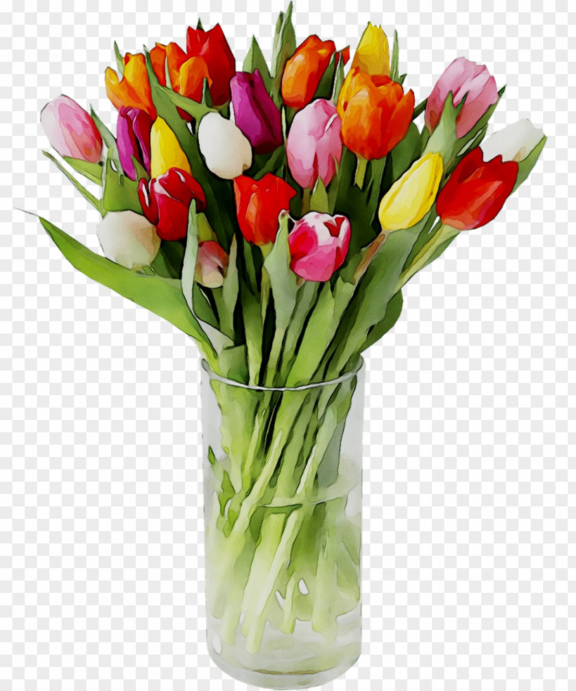 Tulip Floral Design Cut Flowers Vase PNG