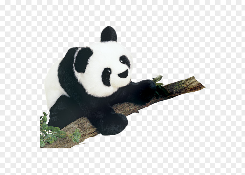 Aec Toy Washing Machine Bear Stuffed Animals & Cuddly Toys Plush Giant Panda PNG