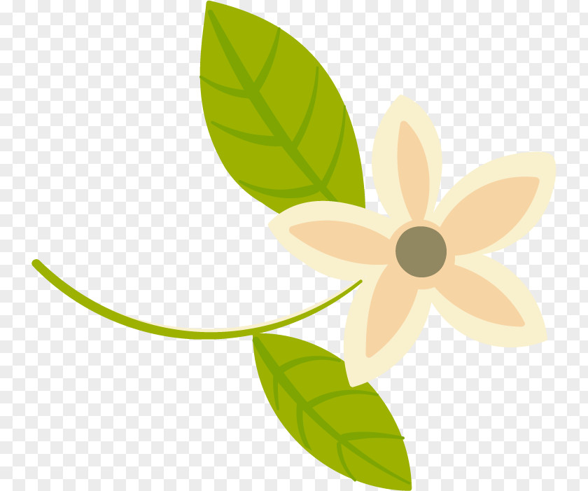 Banner Psd Petal Clip Art Product Design Leaf Flowering Plant PNG