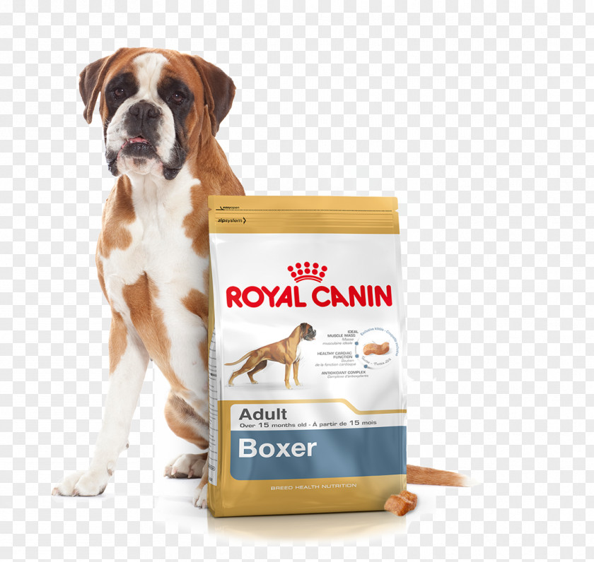 Golden Retriever Boxer Dog Food Puppy Cat PNG