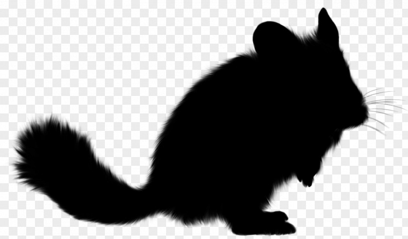 Whiskers Domestic Rabbit Cat Squirrel Fur PNG