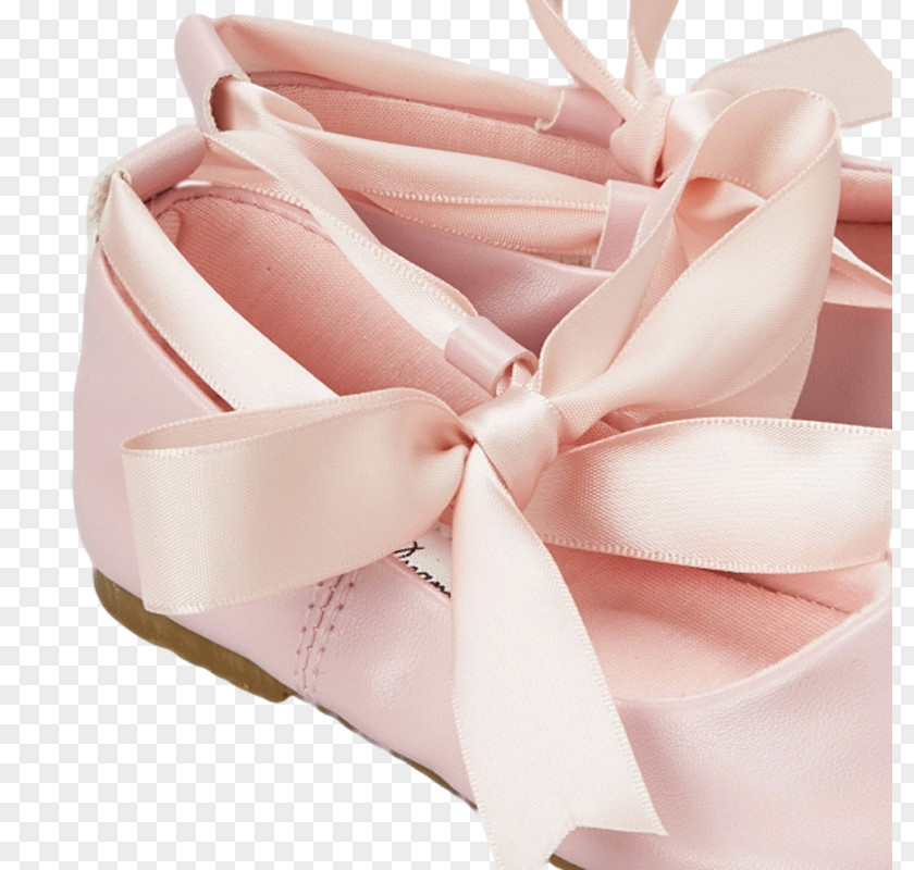 Ballet Slippers Slipper Flat Shoe Dress PNG