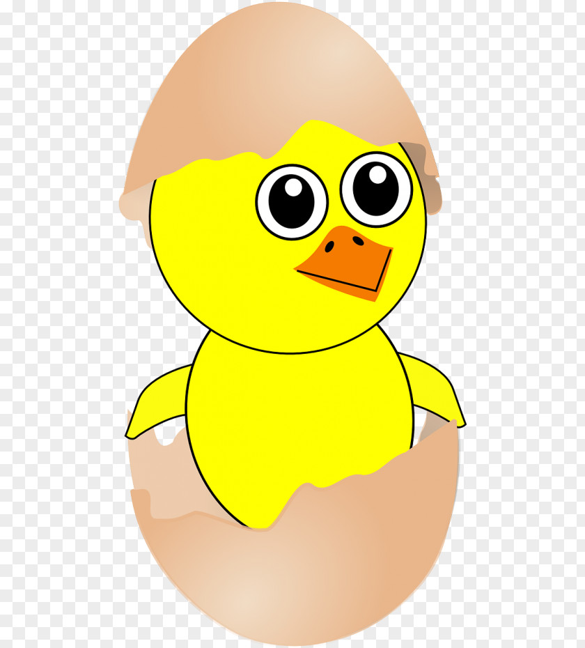 Chicken Bird Egg Clip Art PNG