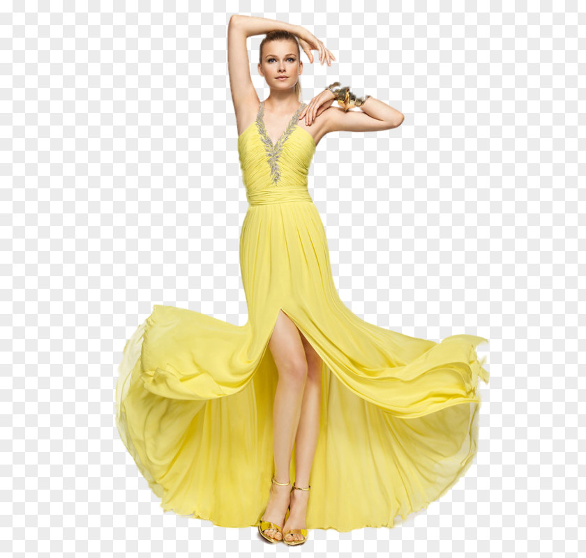 Dress Cocktail Evening Gown Party PNG