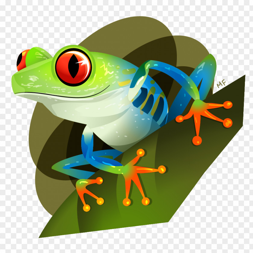 Frog Red-eyed Tree True Red Eye PNG