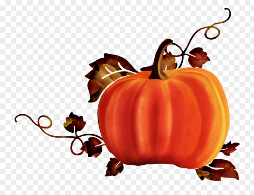 Halloween Jack-o'-lantern Silhouette Pumpkin PNG
