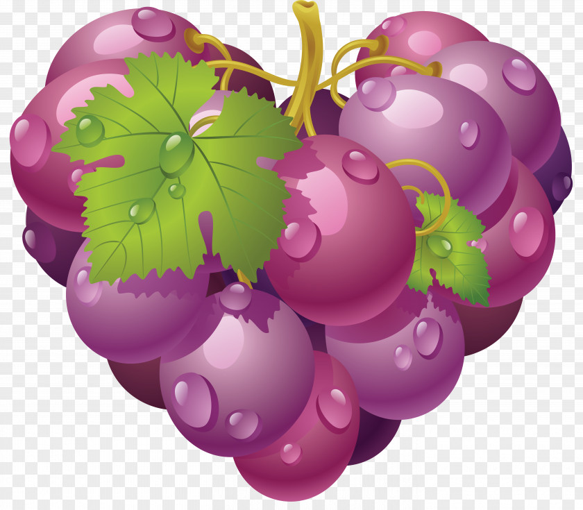 Patten Grape Juice Drawing Clip Art PNG