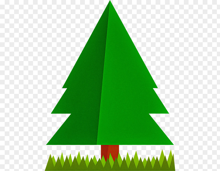 Plant Pine Christmas Tree PNG