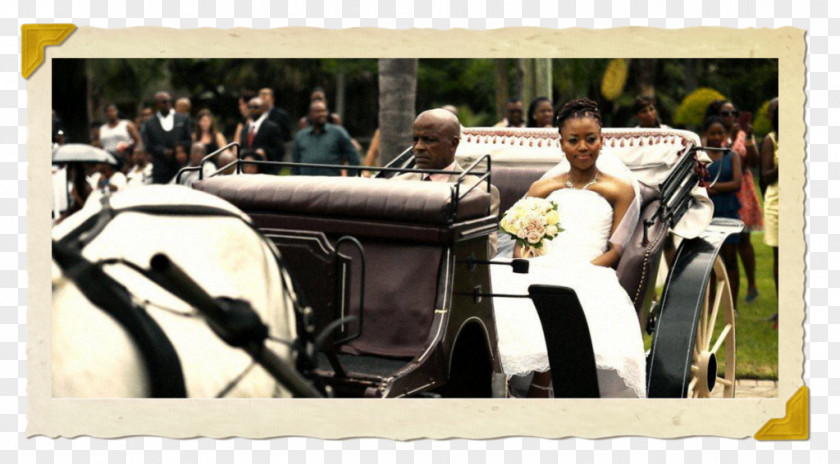 Wedding Carriage The Royal Trot Horse-drawn Vehicle PNG