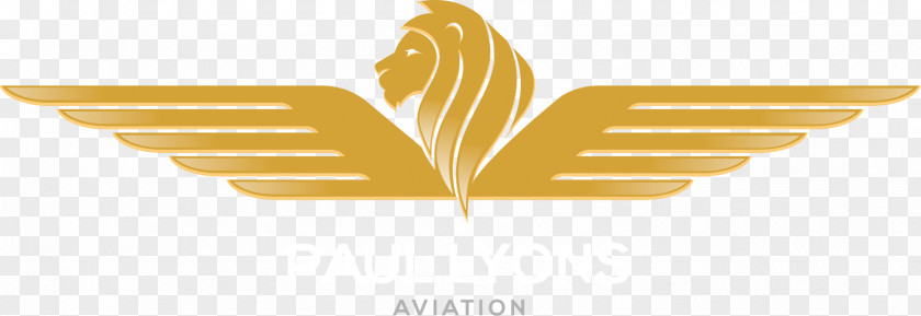 Aviation Day Paul Lyons Logo Air Charter Brand Aircraft PNG