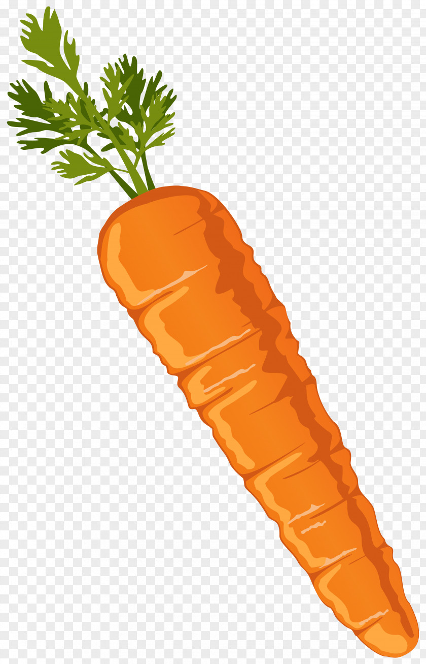Carrot Clipart Image Vegetable Clip Art PNG