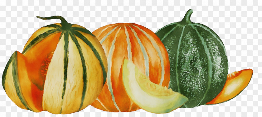 Cucumber Gourd And Melon Family Calabaza Orange PNG