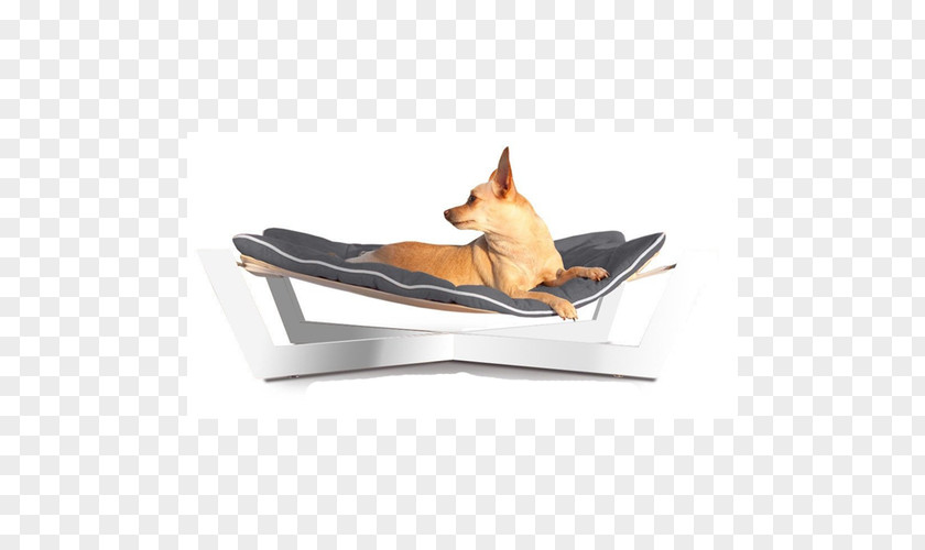Dog Bed Animal Furniture Cots PNG