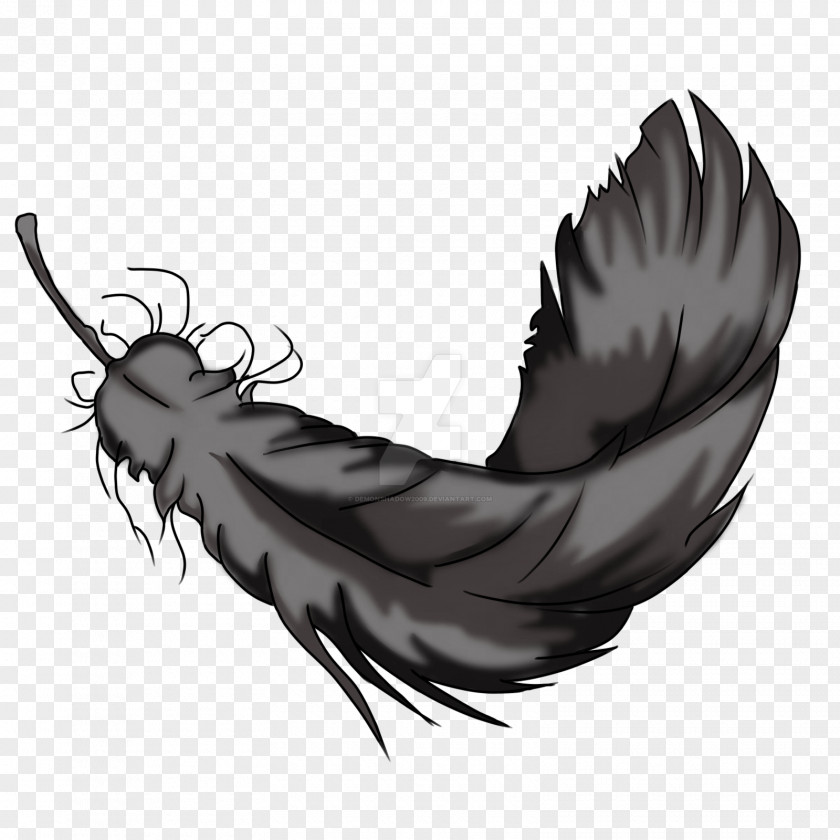 Feather Bird Art Painting Drawing PNG