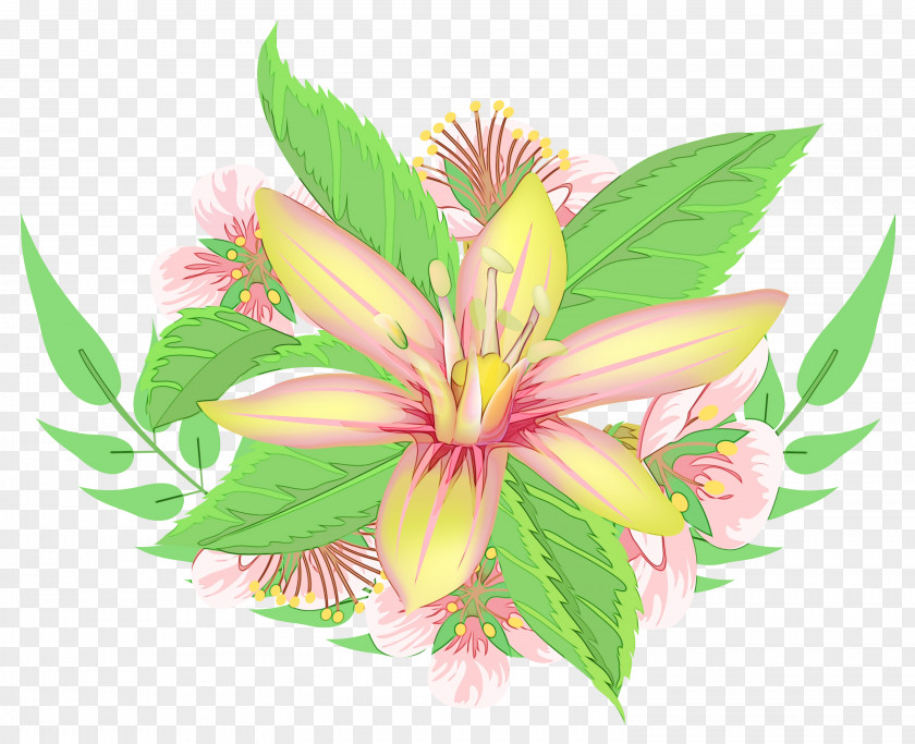 Lily Of The Incas Cut Flowers Petal PNG