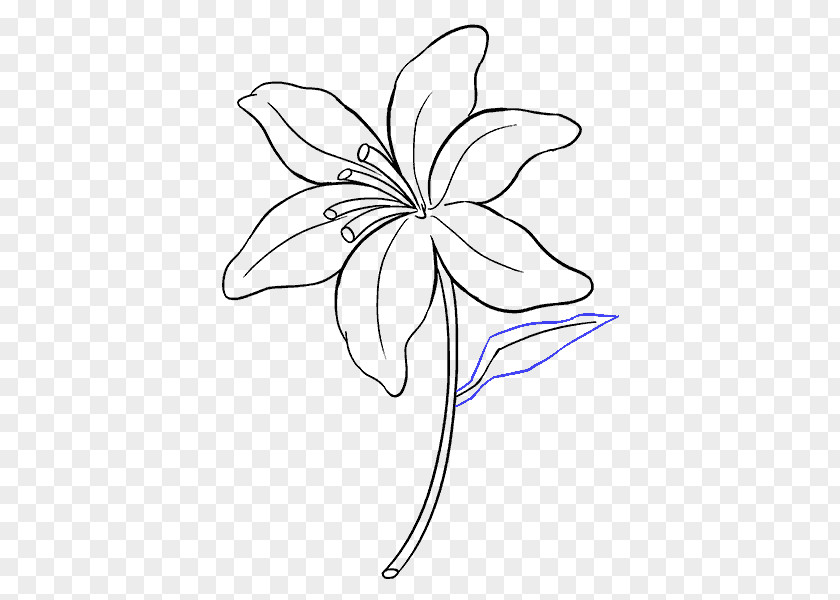 Lily Of The Valley Drawing Art Painting Sketch PNG