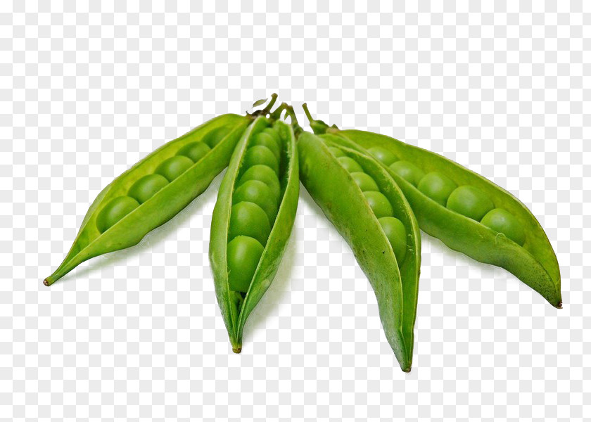 Peas Vegetables Pea Dal Legume PNG