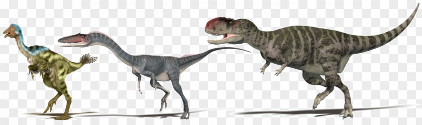 Roaring Dinosaur Velociraptor BMW Animal PNG
