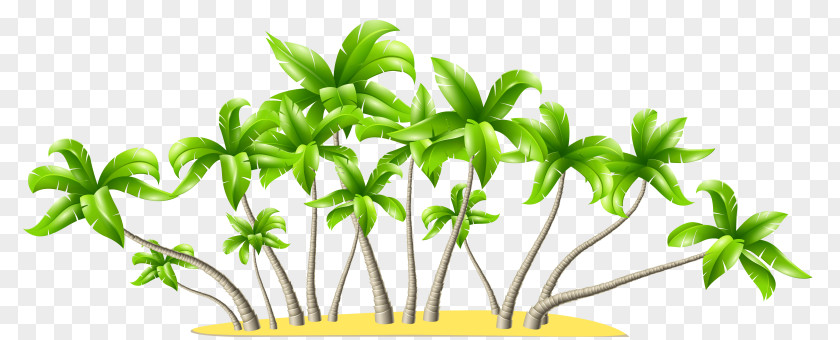 Tree Clip Art Palm Trees Openclipart PNG