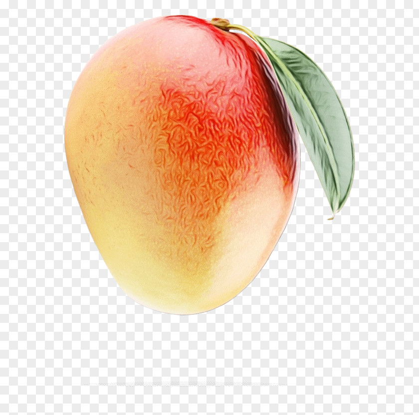 Peach Apple PNG