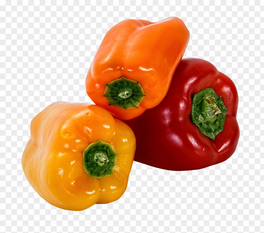 Bell Pepper Habanero Piquillo Friggitello PNG