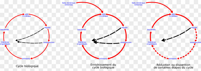 Circle Point Angle PNG