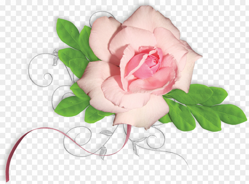 Flower Painting Floral Design Material Garden Roses PNG