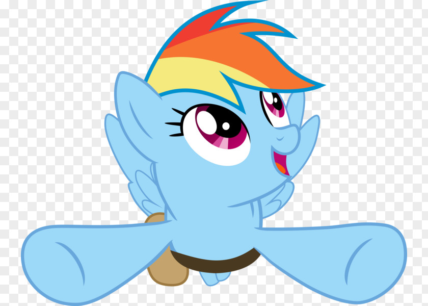 Rainbow Pony Dash Fluttershy Horse PNG