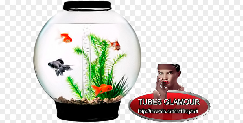 Aquarium Tanks BiOrb CLASSIC Collection Gallon FLOW PNG