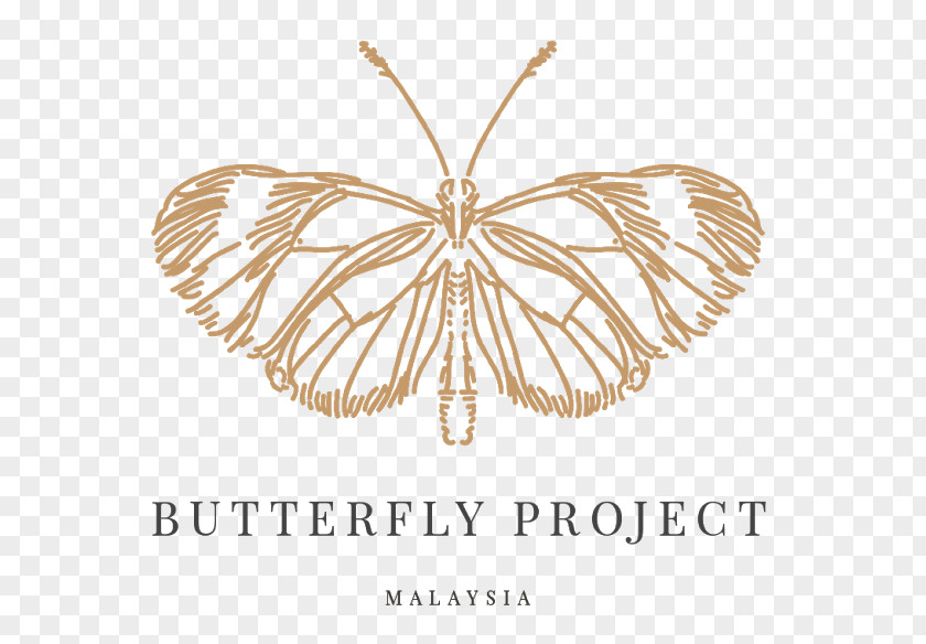Butterfly Malaysian General Election, 2018 Project Food PNG