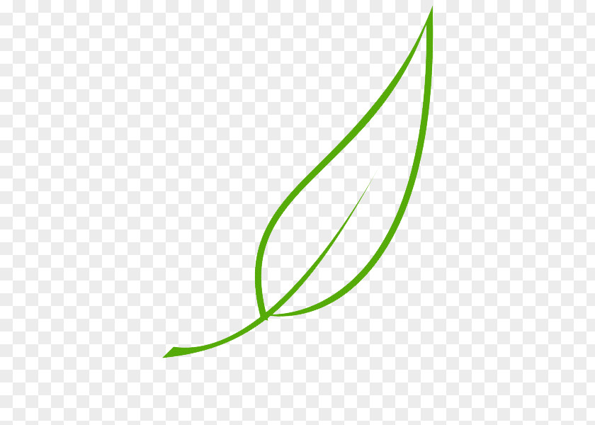 Leaf Paper Tree Drawing PNG