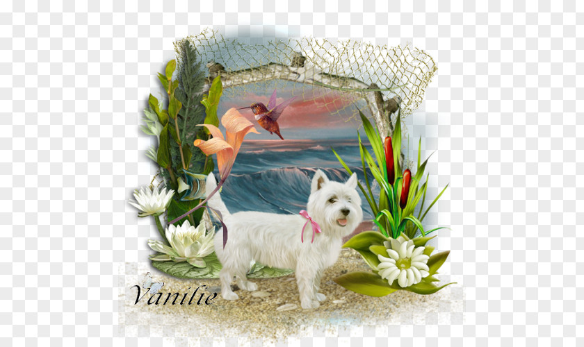 Painting West Highland White Terrier Drawing Manual Of The Mustard Seed Garden Image PNG