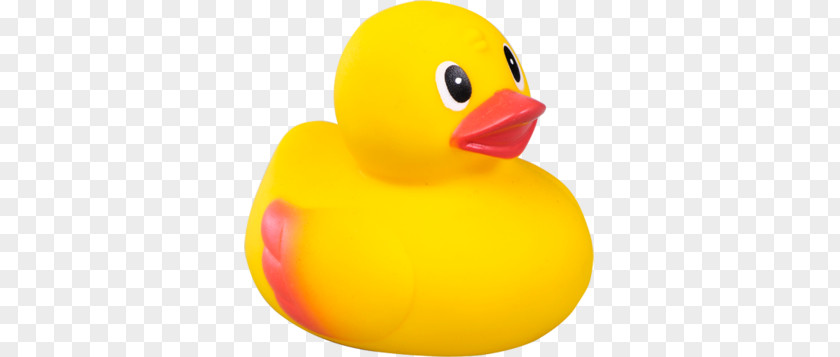 Rubber Duck PNG duck clipart PNG