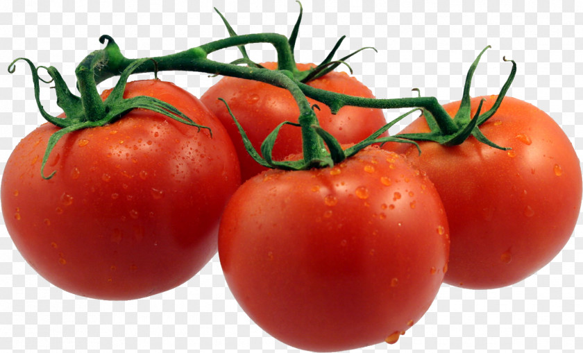 Tomatoes Tomato Soup Neapolitan Pizza PNG