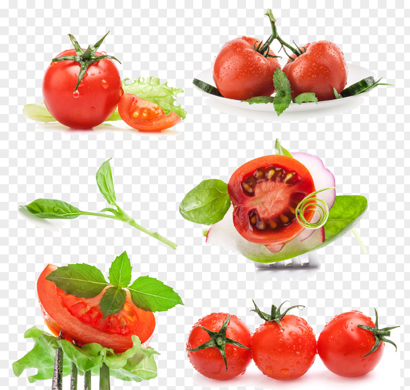 A Large Collection Of Tomato Cherry Vegetable Auglis Salad Basil PNG