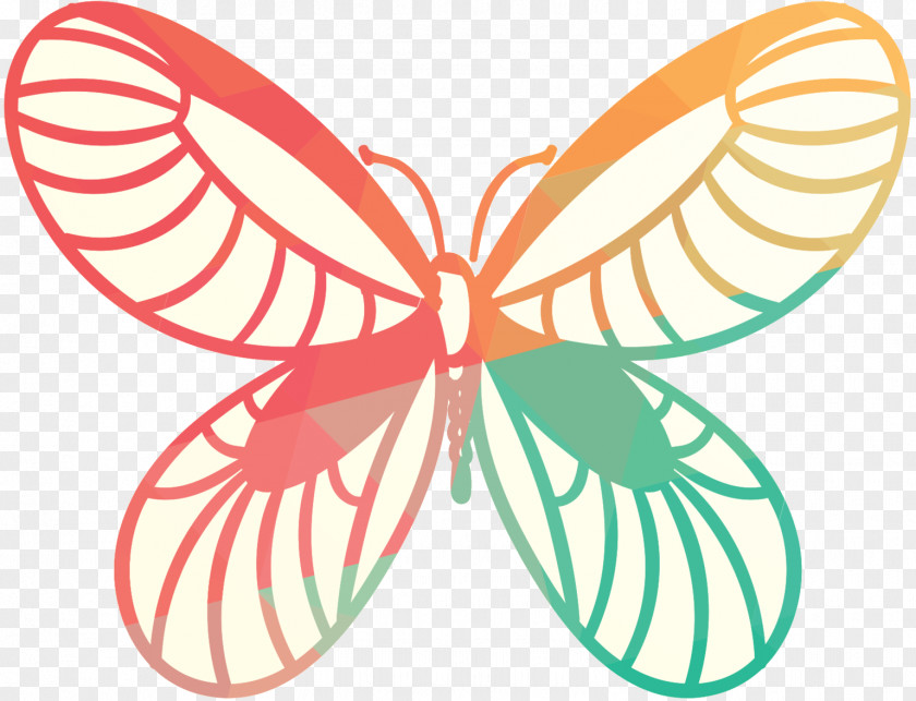 Design Clip Art Monarch Butterfly Illustration PNG