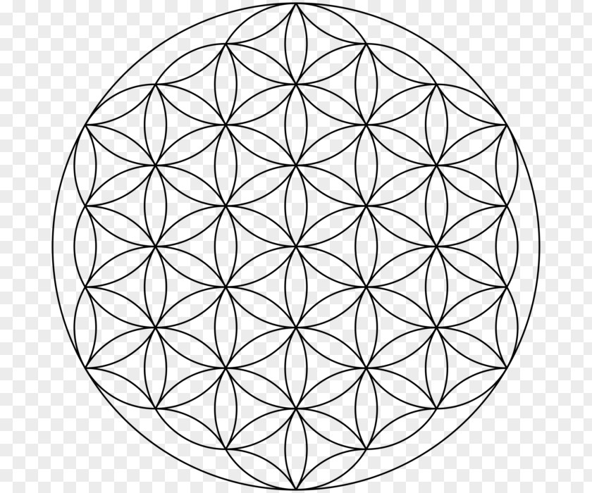 Shape Overlapping Circles Grid Sacred Geometry Metatron PNG