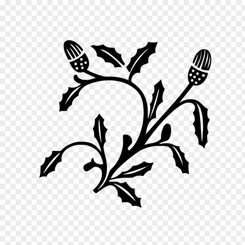 Wildflower Herbaceous Plant Flower Stencil PNG