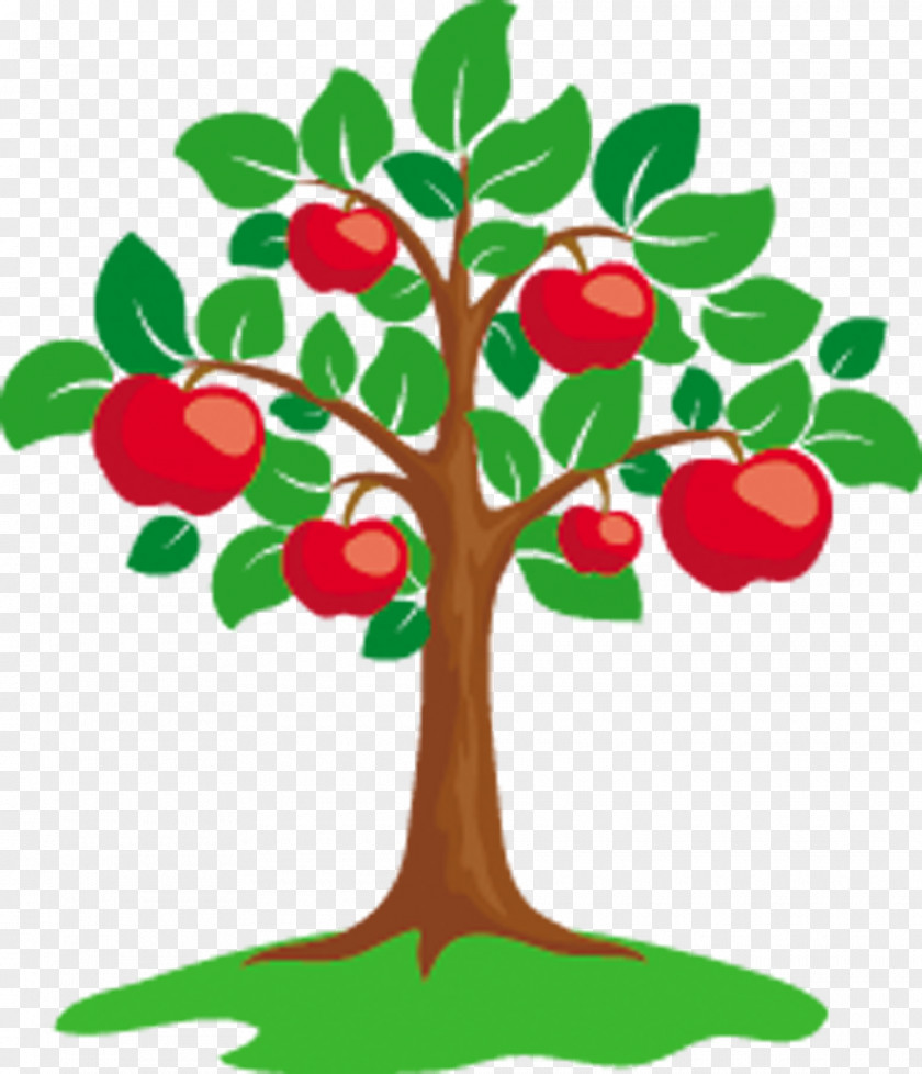 Dry Fruit Apple Tree Clip Art PNG