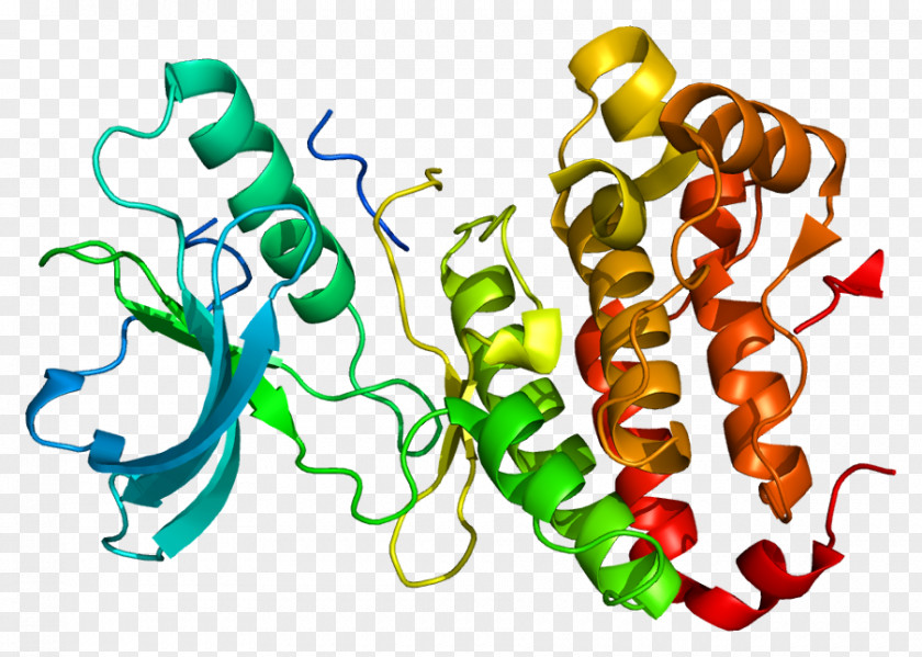 EPH Receptor A3 Ephrin Protein Gene PNG