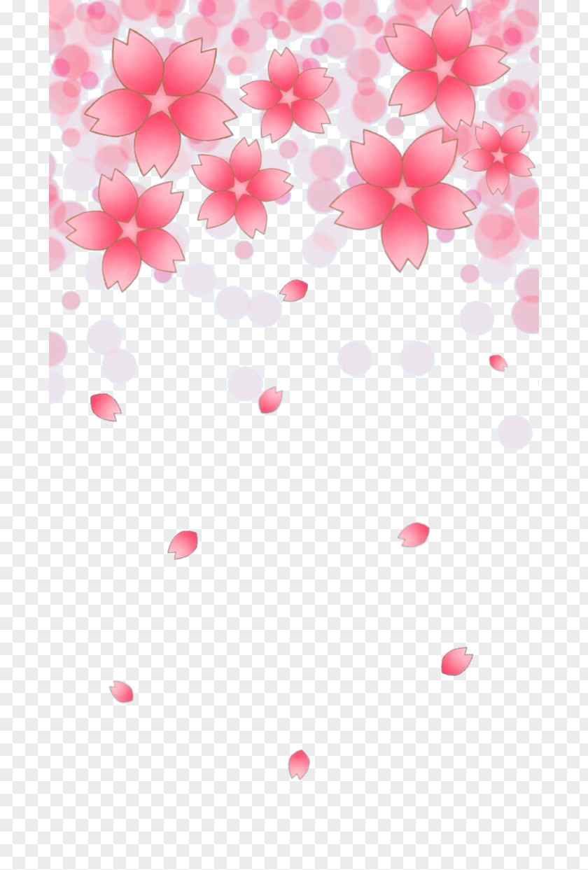 Falling Cherry Blossoms Blossom Petal Cerasus PNG