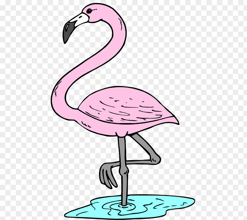 Flamingo Cliparts Free Content Website Clip Art PNG