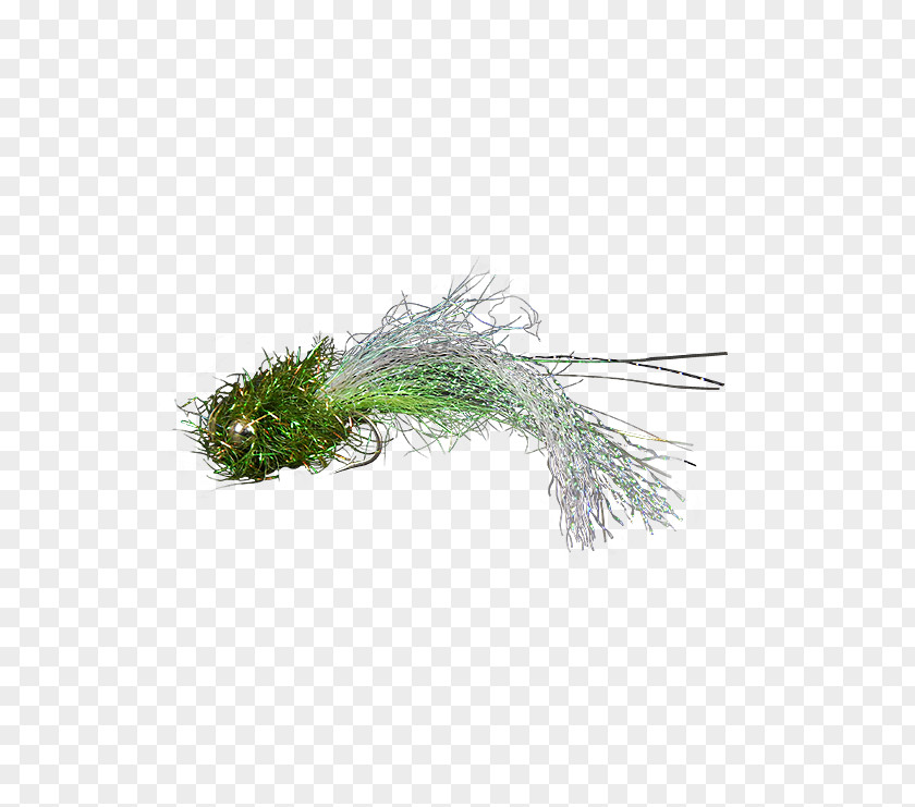 Flies Olive Holly Tree Yellow Chartreuse PNG