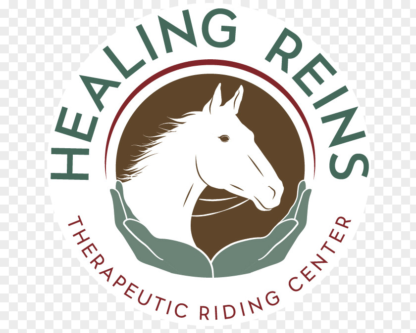 Horse Healing Reins Therapeutic Riding Center Physical Therapy Health PNG